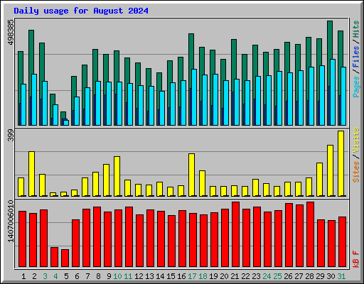 Daily usage for August 2024