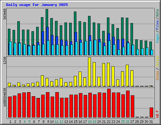Daily usage for January 2025