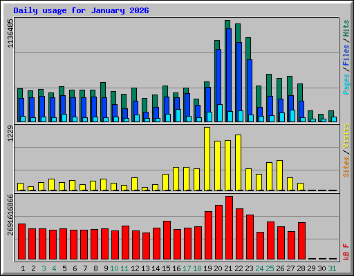 Daily usage for January 2026
