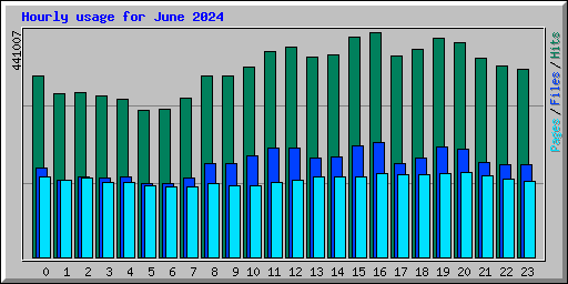 Hourly usage for June 2024