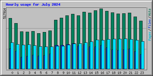 Hourly usage for July 2024