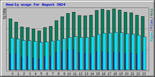 Hourly usage for August 2024