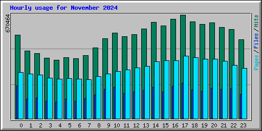 Hourly usage for November 2024