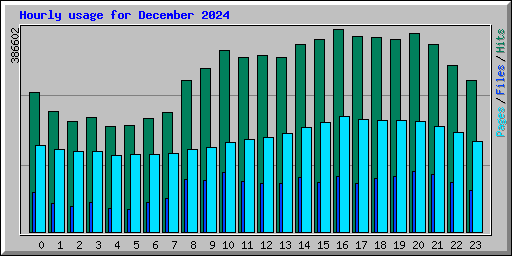 Hourly usage for December 2024