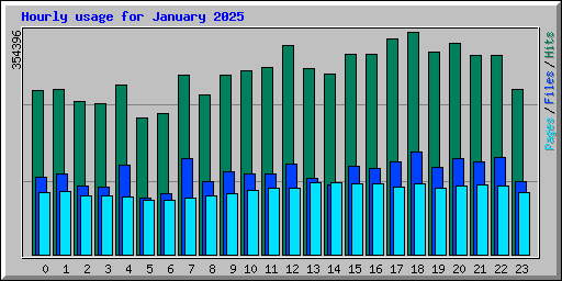 Hourly usage for January 2025
