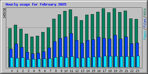 Hourly usage for February 2025