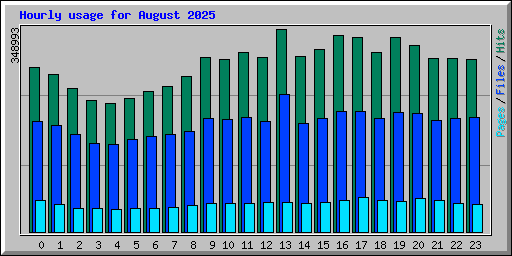 Hourly usage for August 2025