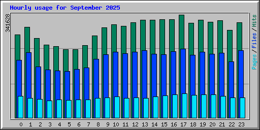 Hourly usage for September 2025
