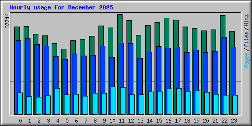 Hourly usage for December 2025