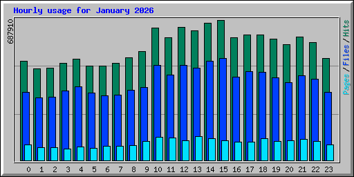 Hourly usage for January 2026