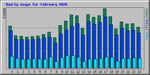 Hourly usage for February 2026