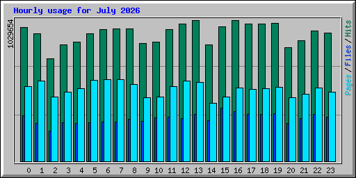 Hourly usage for July 2026
