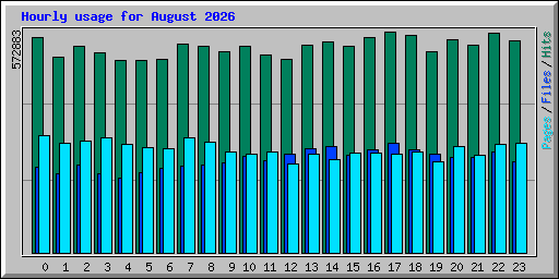 Hourly usage for August 2026